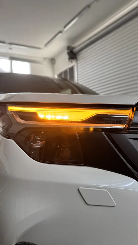 Optische Alarmsignalisierung über die Blinker