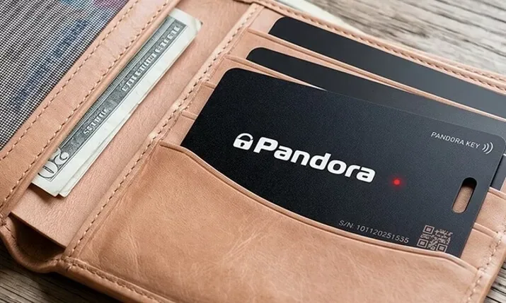 Pandora Card im Kartenfach eines Portemonnaies