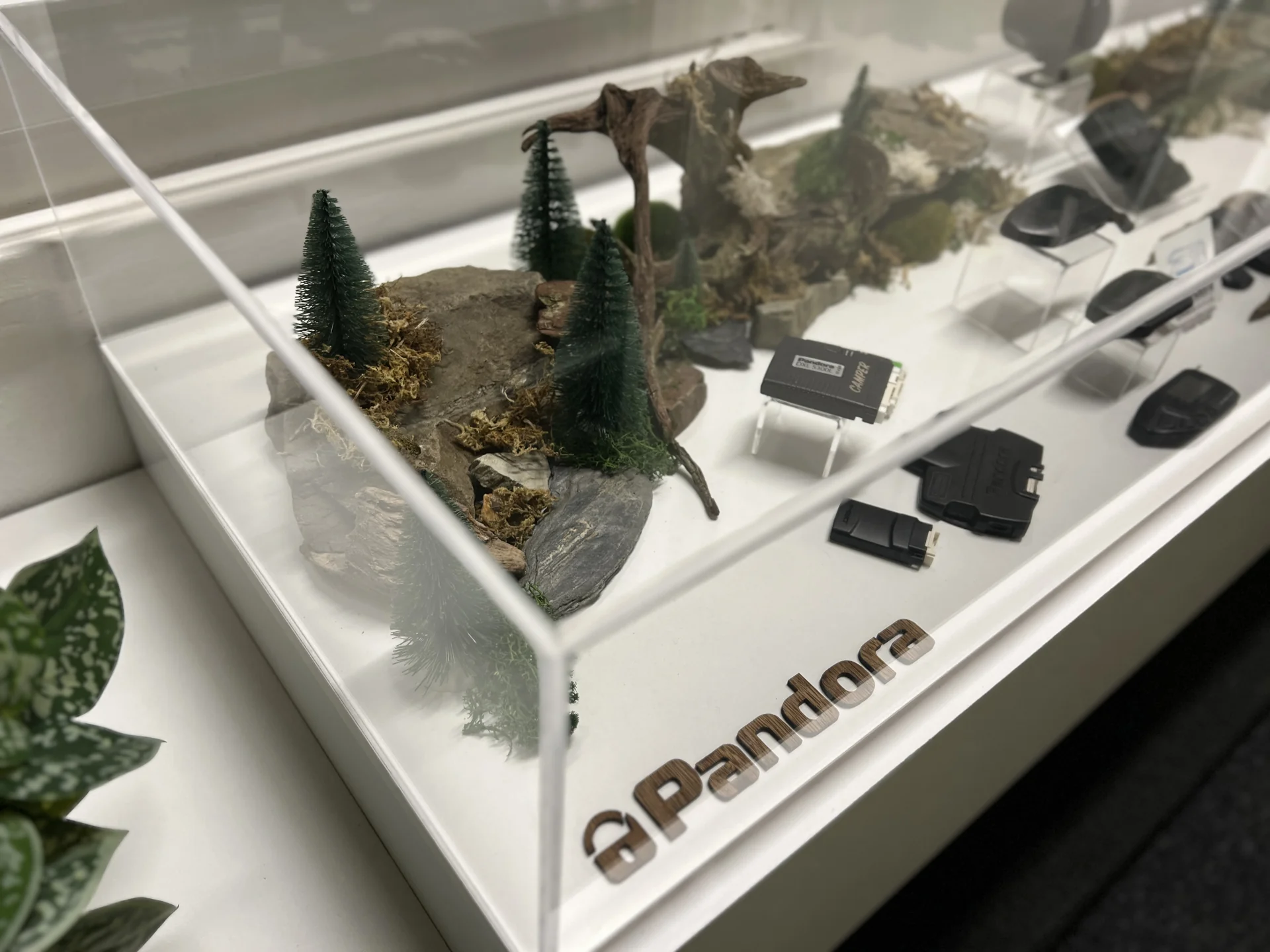 Pandora-Ausstellung mit Produkten und Informationsmaterial